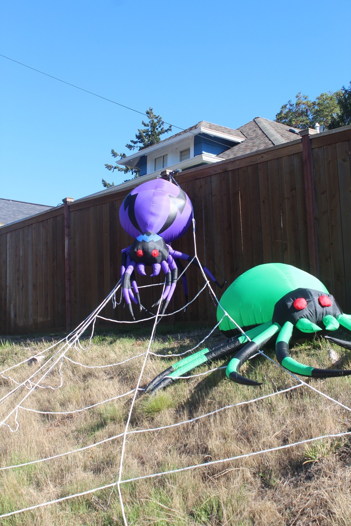 De l’Etat de Washington au Texas, découvrez 31 photos de maisons américaines décorées pour Halloween, entre squelettes géants et monstres gonflables.