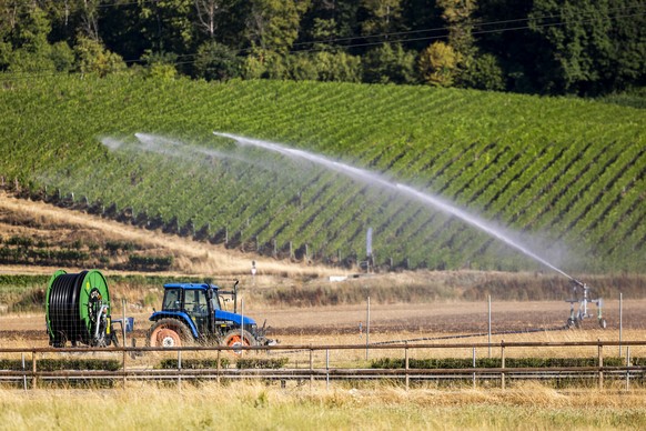 Un systeme d'irrigation arrose de l'eau sur un champ sur un domaine agricole pour lutter contre la secheresse d'un journee de canicule, ce vendredi 10 juillet 2026 a Gland. Un danger de ...