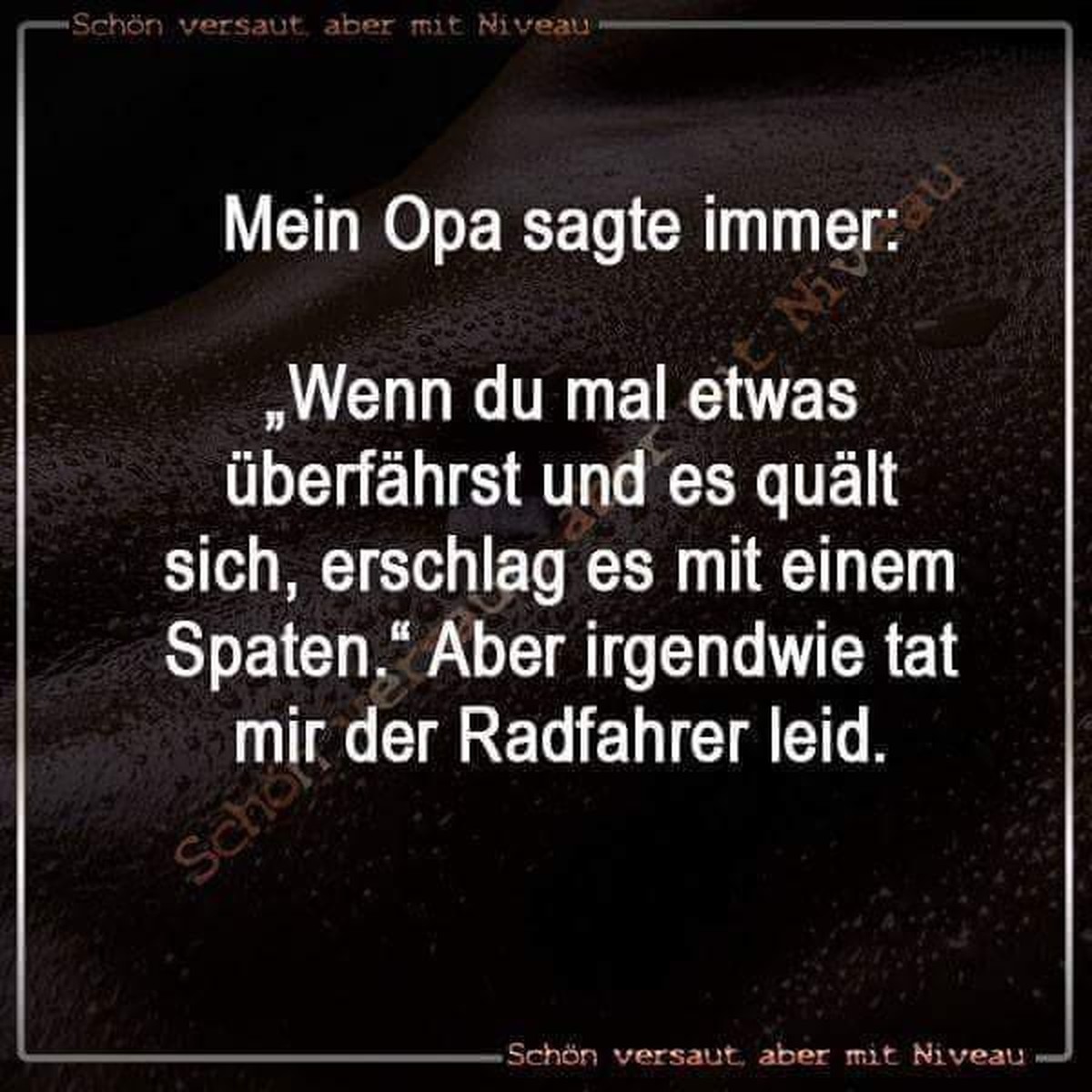 PICDUMP 409 вЂ“ alle versammeln, es geht los!\nOh je... рџљІрџ™Љ