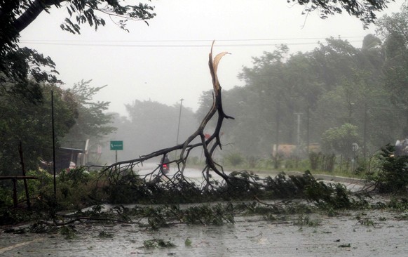 epa07544314 A tree branch blocking a road after cyclone Fani made landfall in Odisha coast, at Konark in Puri district Odisha, India 03 May 2019. According to news reports Cyclone Fani made landfall i ...