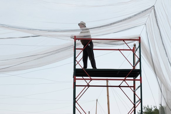 July 12, 2025, Donbas, Ukraine: On the road between Kramatorsk and Dobropillia, Ukrainian soldiers install fishing nets to help prevent drone attacks, particularly FPV drones equipped with fiber-optic ...