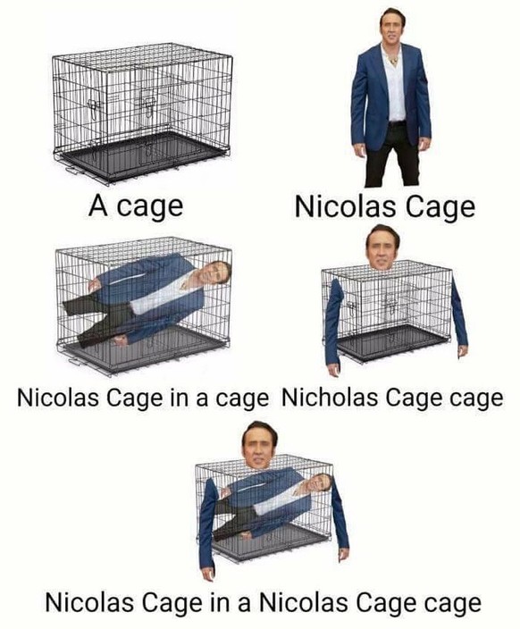 Nicolas Cage lÃ¤sst sich scheiden! Nach nur vier Tagen! Omg! Zeit fÃ¼r Memes
Nicolas Cage in a Nicolas Cage cage ð