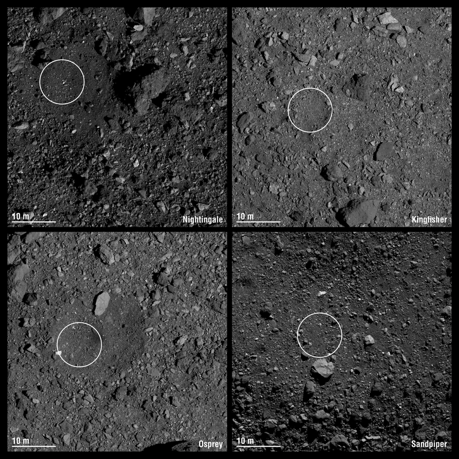 Pictured here are the four candidate sample collection sites on asteroid Bennu selected by NASA’s OSIRIS-REx mission. Site Nightingale (top left) is located on Bennu’s northern hemisphere. Sites Kingf ...