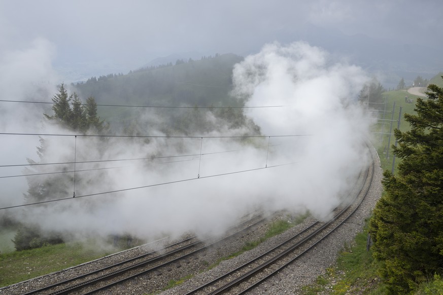 Die Dampf Lokomotive 7, hinter dem Dampf, faehrt nach Rigi Kulm, anlaesslich der Bergbahnparade des 150 Jahre Jubilaeums Wochenende der Arth Rigi Bahn auf Rigi Kulm, am Sonntag, 8. Juni 2025 in Goldau ...