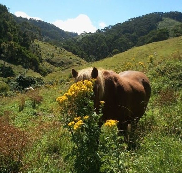 cute news animal tier pferd

https://viralserv.com/these-17-animals-all-think-theyre-hiding-from-you-but-theyre-just-adorably-failing-awww-2/