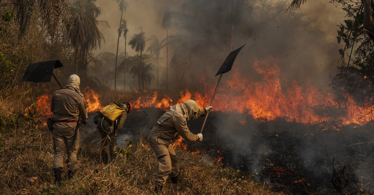 In this image released by World Press Photo, Thursday April 15, 2021, by Lalo de Almeida, Panos Pictures for Folha de Sao Paulo, titled Pantanal Ablaze, which won the first prize prize in the Environm ...