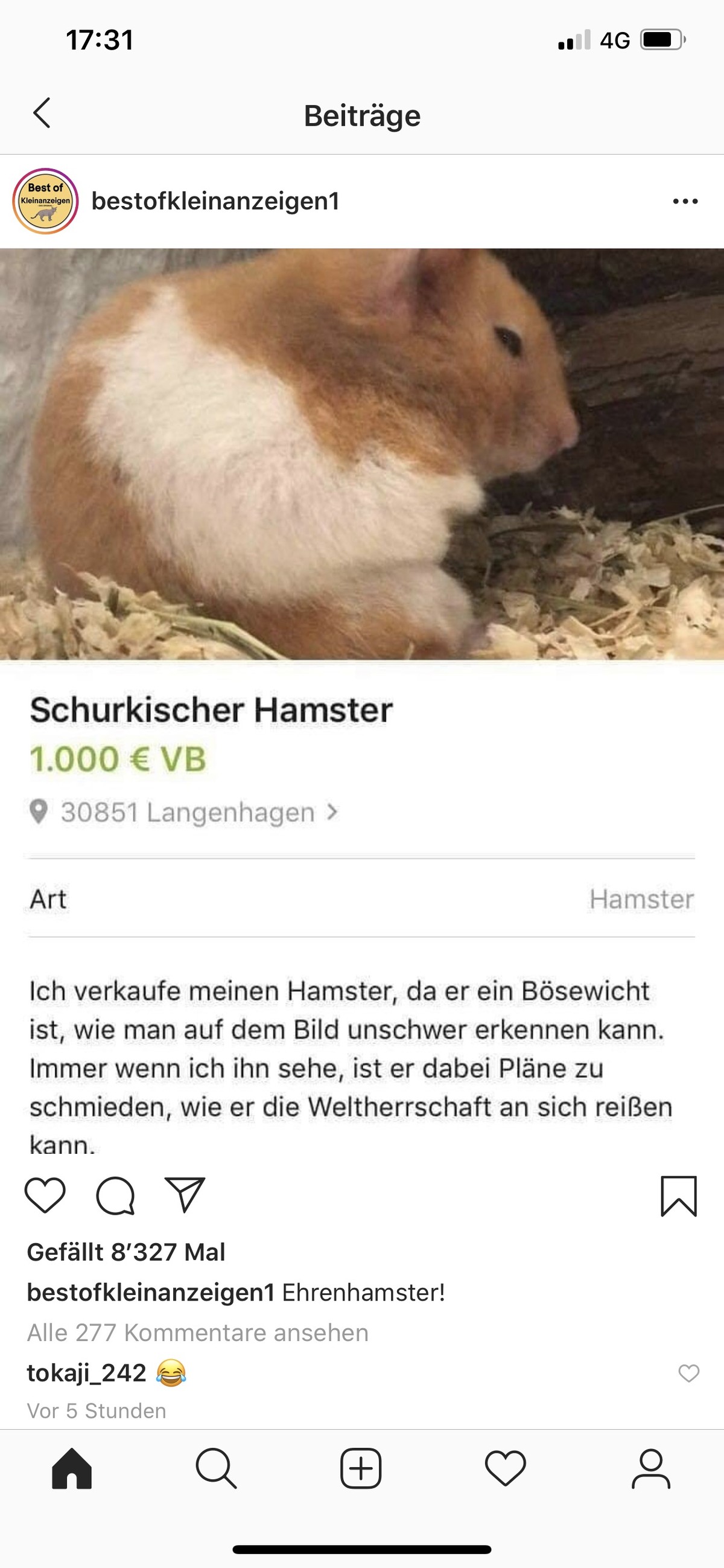 Hopp, wir haben nicht den ganzen Tag Zeit: PICDUMP. ЁЯЩГ
Erinnert mich ein wenig an Pinky&amp; der Brain xD
