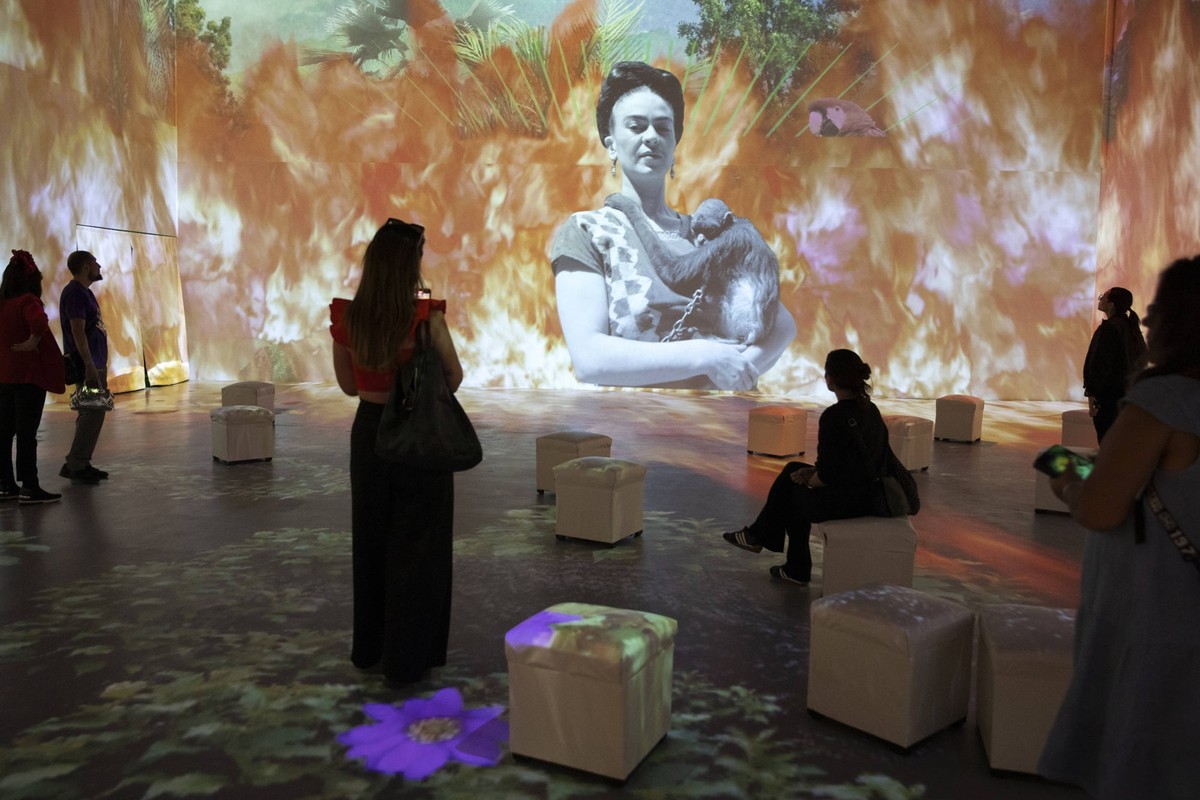 Mexique : L'exposition immersive Frida Kahlo : La vie d'une icône à Mexico L'exposition immersive Frida Kahlo : La vie d'une icône à Mexico City, Mexique le 05 mars 2025. Cette bio ...