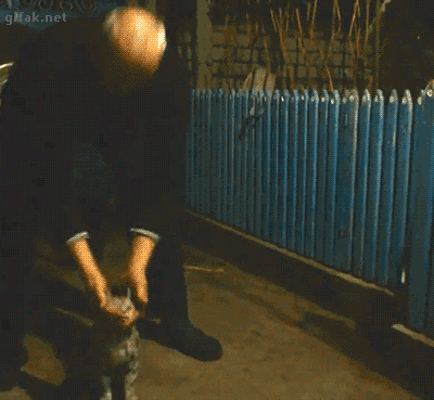 Animiertes GIF