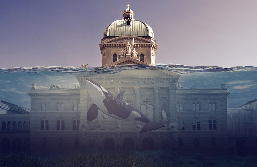 Das Bundeshaus Im Meer So Hoch War Die Tsunami Welle Von 04 Watson