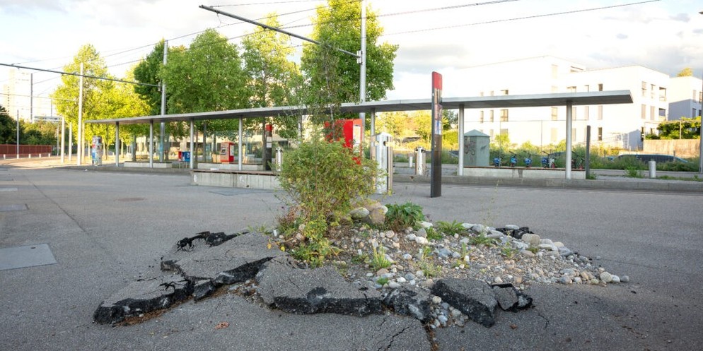 «Natur braucht Stadt» wird mit dem diesjährigen Binding Preis ausgezeichnet.