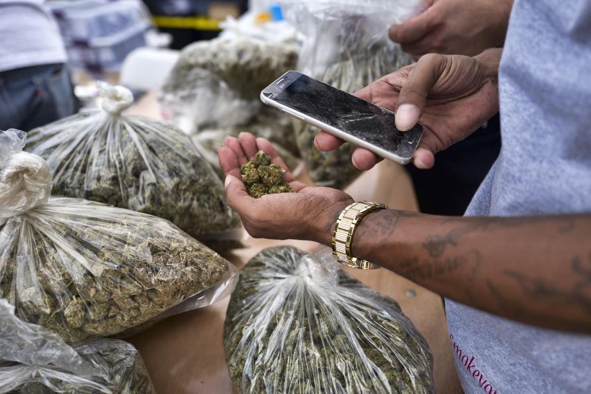 La légalisation du cannabis, ça marche ou pas? Tour du monde des différents modèles connus.