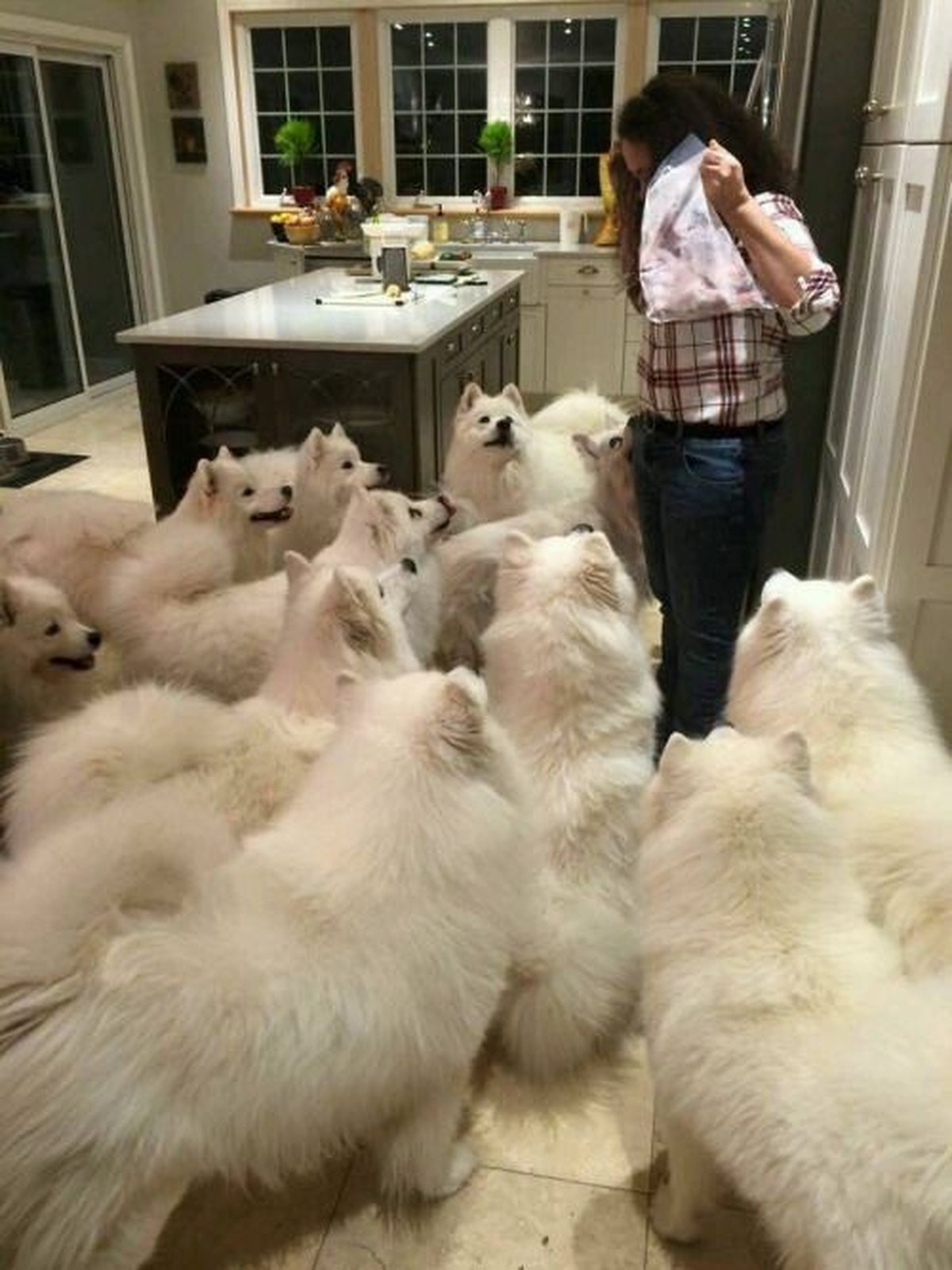 cute news tier hunde

https://www.reddit.com/r/Animal/comments/1gepuzx/what_should_i_do/