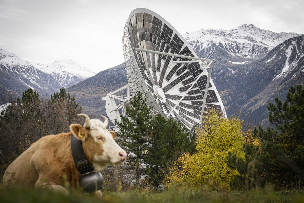 Europe's first solar installation in former satellite dishes is pictured during the inauguration of the solar innovation project at the Leuk Teleport &amp; Data Centre (TDC) this Tuesday, Novembe ...