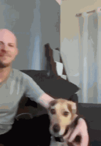 Animiertes GIF