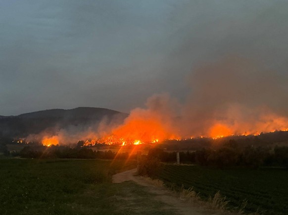 Forest fire spreads from Sakarya to Bilecik, evacuation underway on third day of blaze BILECIK, TURKIYE - JULY 23: Smoke and flames rise among the trees as villagers are being evacuated after a forest ...
