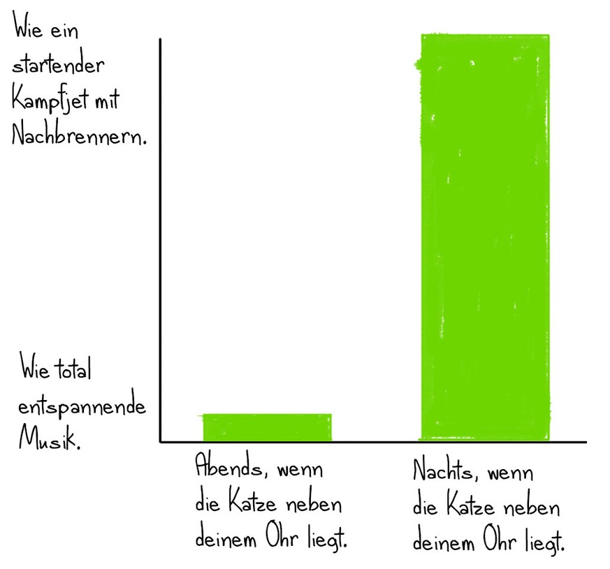 10 lustige Grafiken, die das Leben mit einer Katze perfekt beschreiben.