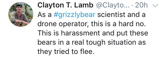 Dieser Baby-Bär zeigt uns allen, warum wir niemals aufgeben sollten 😍
Tja, dieser Kommentar eines Grizzlybär-Forschers bestätigt: Tierquälerei im hübschen Gewand eines inspirierenden Spruchs - sollte ...