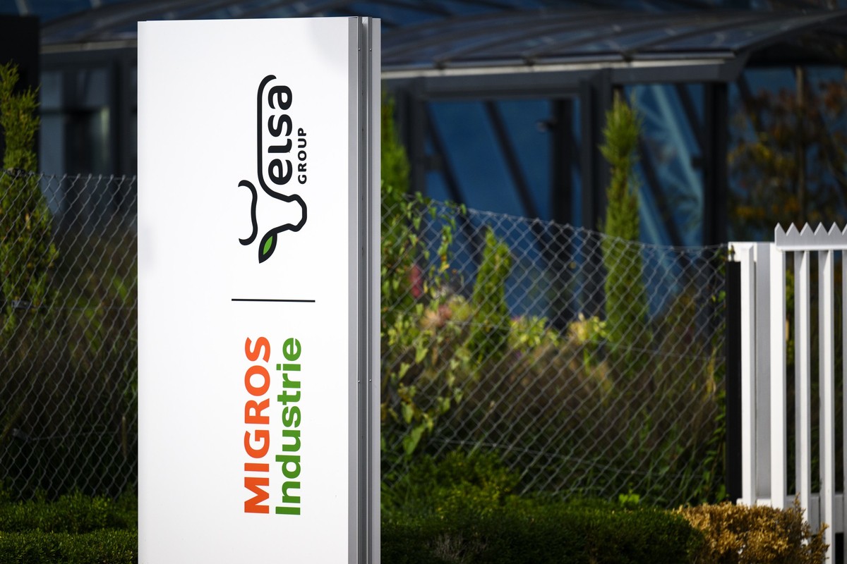 Le logo d' ELSA Group photographie ce jeudi 21 septembre 2023 devant les locaux de ELSA a Estavayer-le-lac. Elsa Group est l'un des principaux groupes industriels de l'economie laitiere ...
