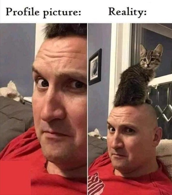 Wer den Weg rausfindet, hat gewonnen! PICDUMP! рџЊЂ
Katzen kГ¶nnen auch nГјtzlich sein, wГјrkli!