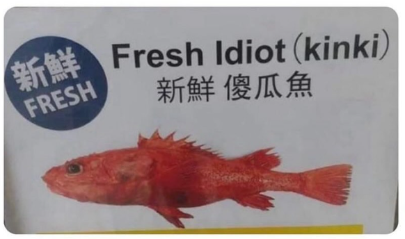 Failed Tuesday: Translation failed on Fish: Fresh Idiot