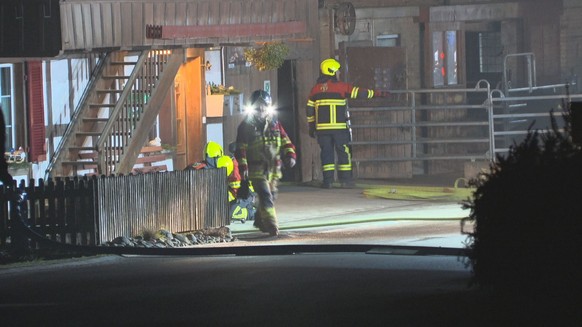 Brand Schweine Stall Detligen BE