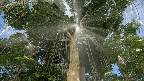 HANDOUT - Das Projekt Sumatra Regenwald, geplant nach 2030 in Zoo Zuerich. Der Zoo Zuerich stellte am Mittwoch, 15. September 2021 seinenEntwicklungsplan 2050 vor. Es sollen elf grosse Lebensraeume en ...