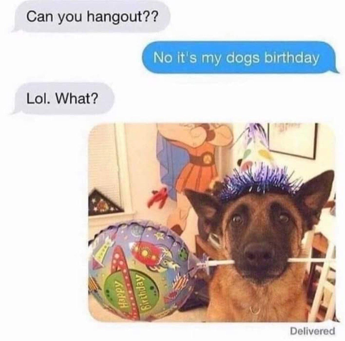 Lustige Hunde-Memes zum Welthundetag.