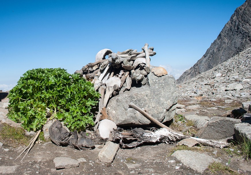 Skelette am Roopkund-See.
https://commons.wikimedia.org/w/index.php?curid=35324241