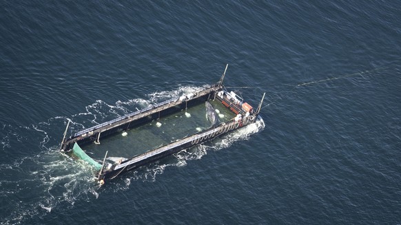 29.04.2026, Schleswig-Holstein, Fehmarn: Der Wal liegt am Mittwochmorgen in einem gefluteten Lastschiff kurz vor der d�nischen Grenze (Aufnahme aus einem Flugzeug). Der aus einer flachen Bucht vor Wis ...