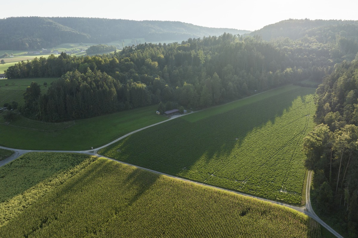 Blick auf den Ort fuer das Tiefenlager anlasslich einer Medieninformation ueber den Stand nach gut einem Jahr nach dem Entschluss, dass die Nagra Noerdlich Laegern als Standort fuer ein Tiefenlager vo ...