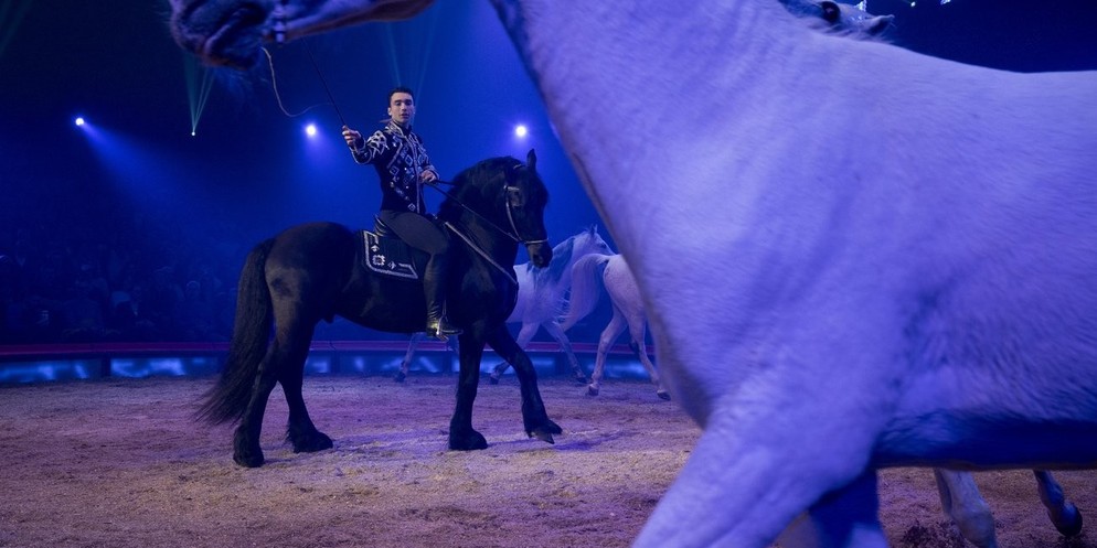 Zirkus Knie gastiert in Bern.