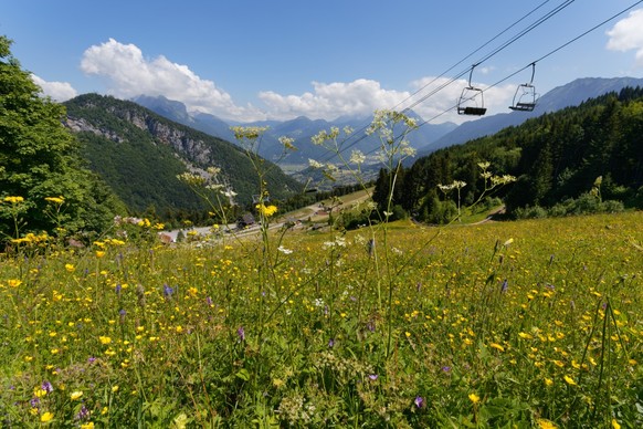 Chairlift and flowering meadow in the La Sambuy mountain area near Faverges, France