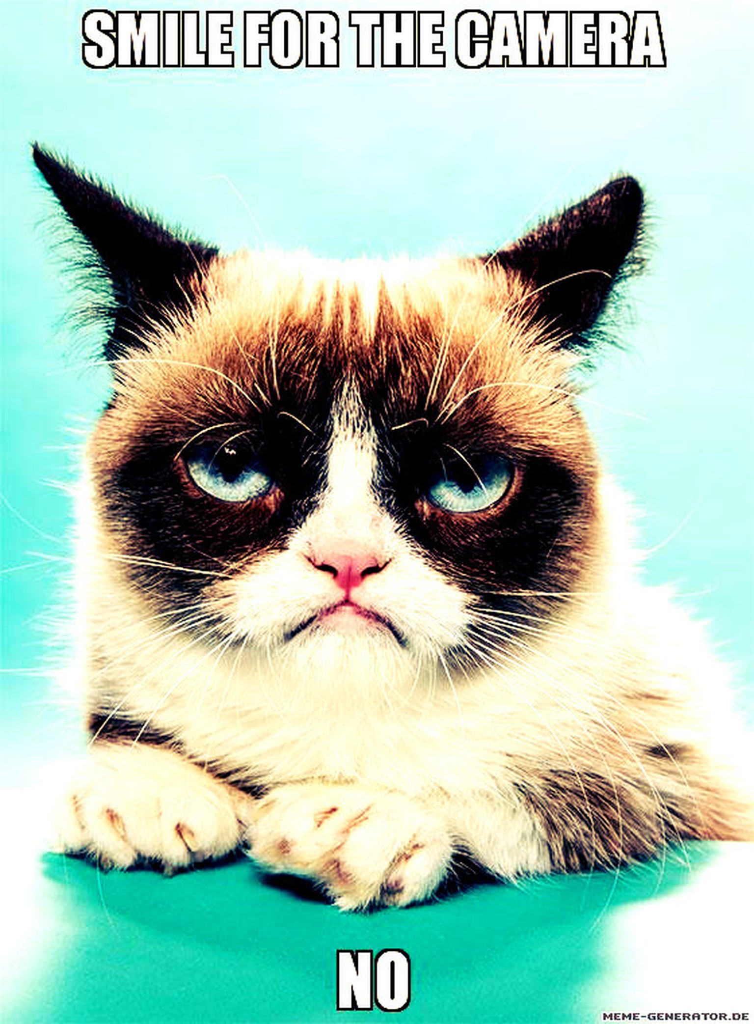 Wie Aus Grumpy Cat Ein Goldesel Wurde Watson