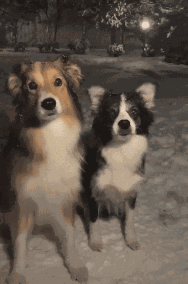 Animiertes GIF