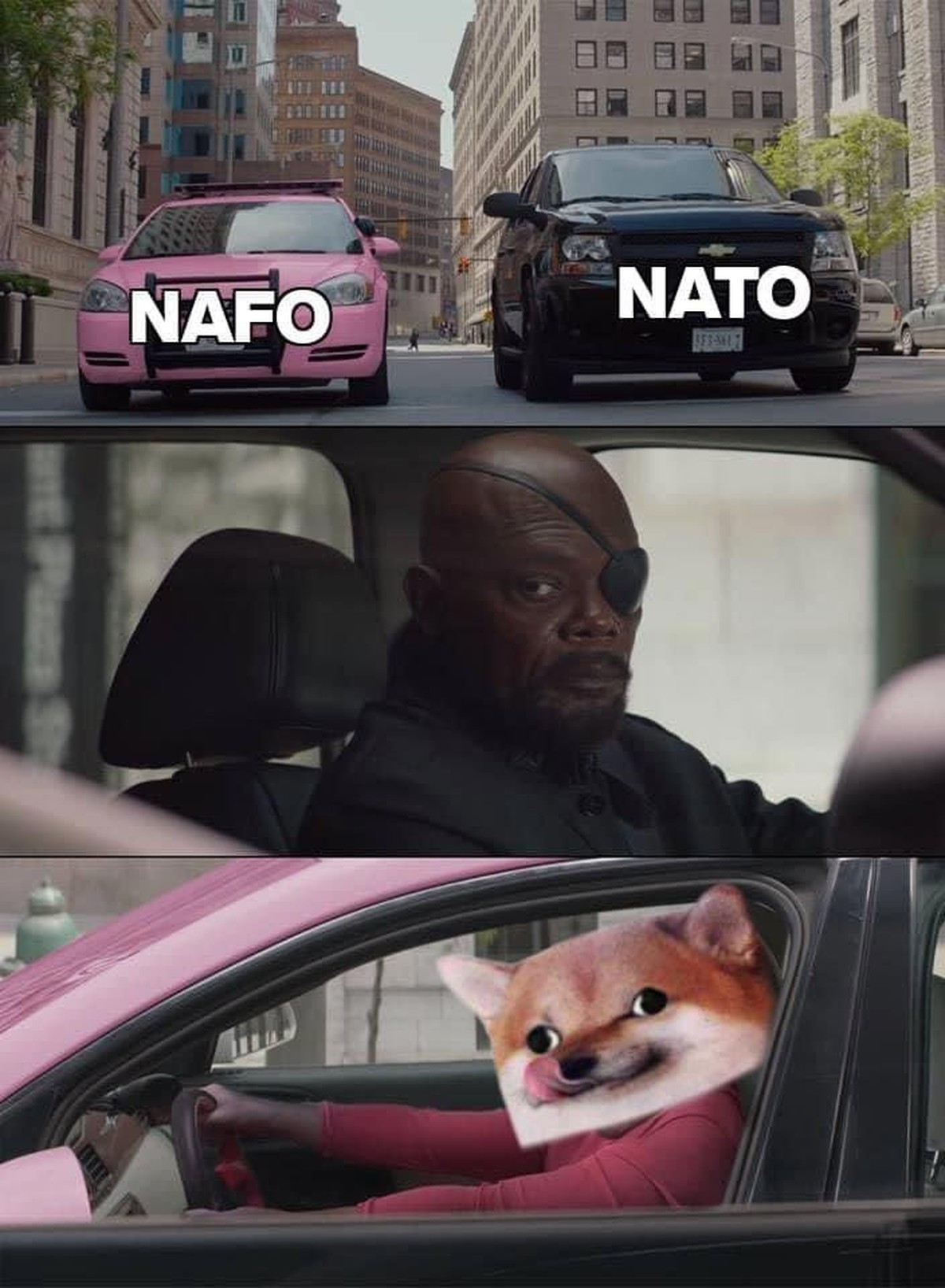NAFO und NATO