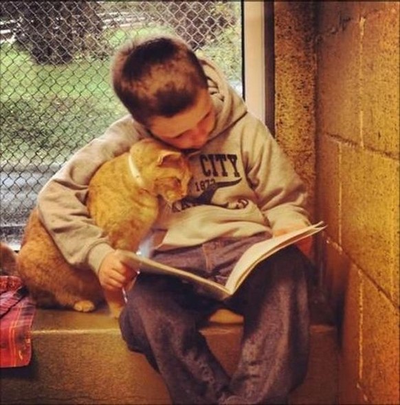 Katze mit Kind

http://www.dumpaday.com/random-pictures/faith-humanity-restored-15-pics/