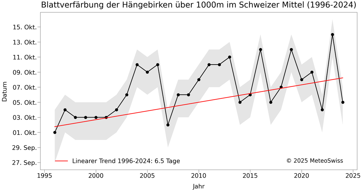 Blattverfärbung Hängebirke über 1000 Meter 1996 bis 2024