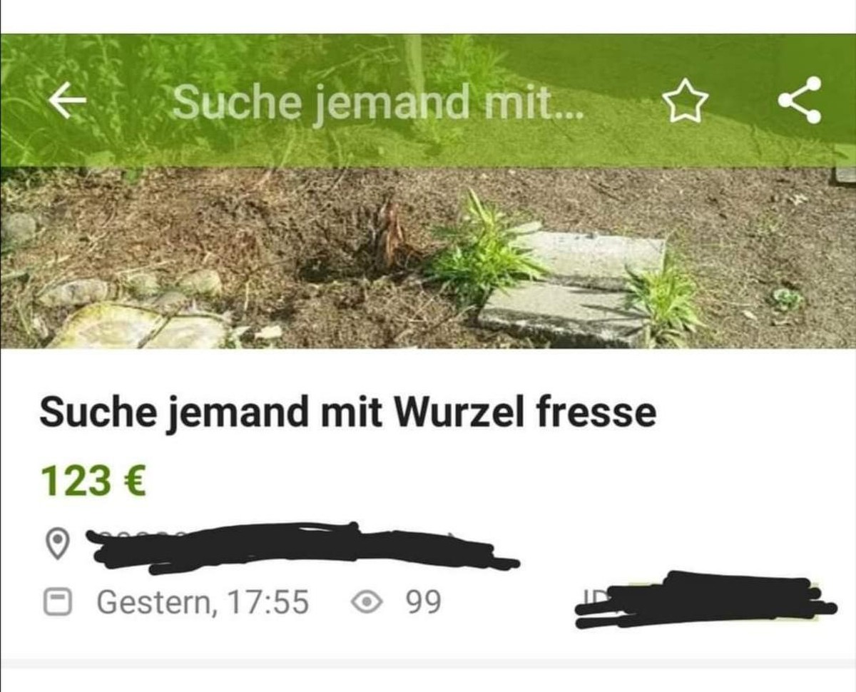 PICDUMP Nummer 369. Höhö. Hö.\nRosen sind rot,
ich pflanze Kresse
und...