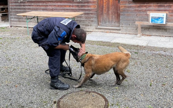 Der Aufwand hat sich gelohnt: Spürhund Gino beim Training.