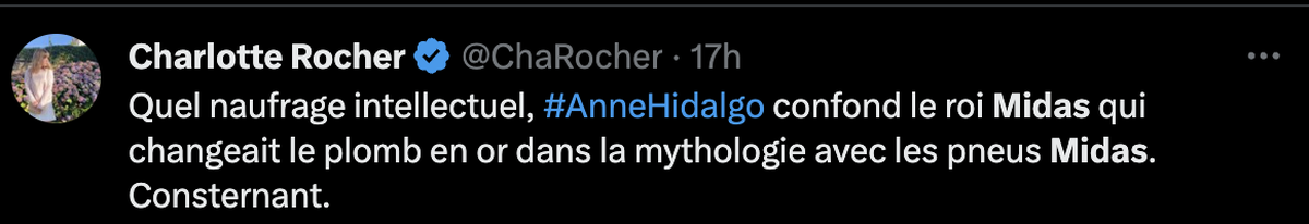 Dans la bio de son compte X, Charlotte Rocher, qui n'épargne jamais Hidalgo, se dit «engagée pour Paris #saccageparis»