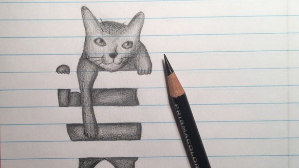 KAtzenzeichnung
http://mindbenders.eu/wp-content/uploads/2015/12/G_r3majCuI8-2.jpg