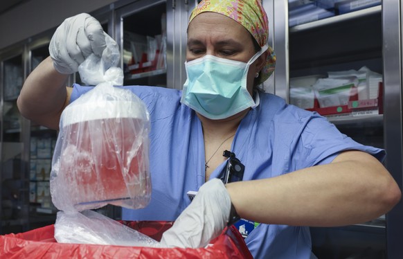 FILE - Melissa Mattola-Kiatos, RN, nursing practice specialist, removes the pig kidney from its box to prepare for transplantation at Massachusetts General Hospital, March 16, 2024, in Boston. Richard ...