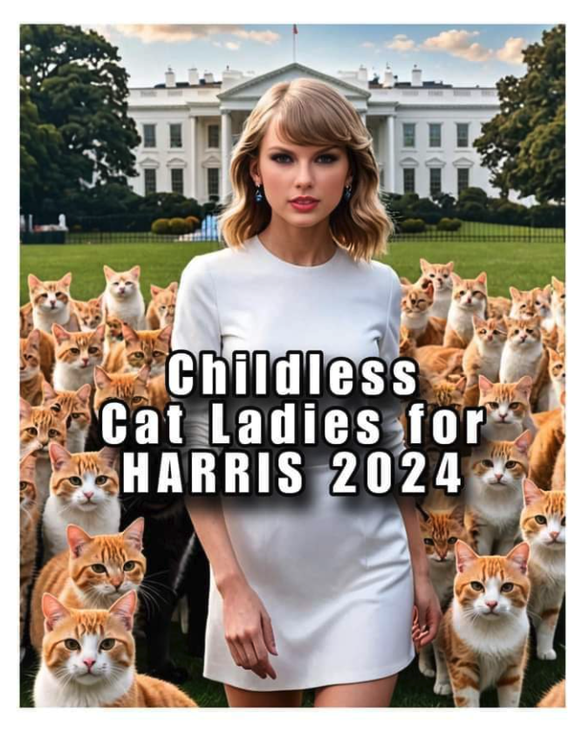 Childless Cat Lady: Taylor Swift