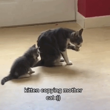 Animiertes GIF
