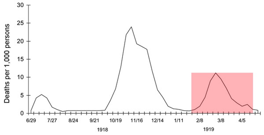 Die dritte Welle Anfang 1919.