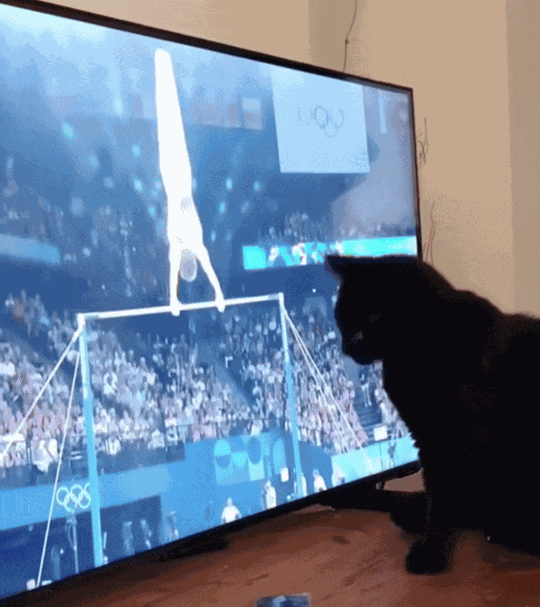 Animiertes GIF
