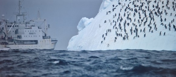 ocean with david attenborough