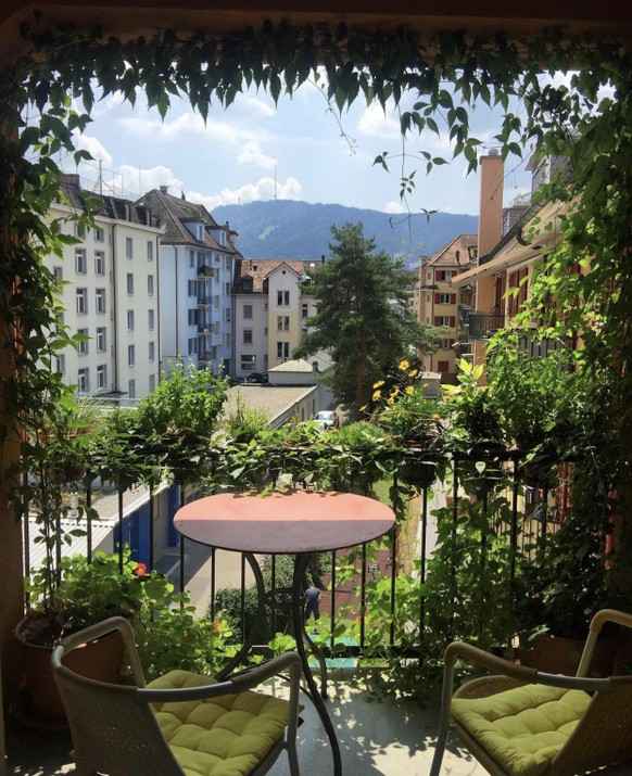 Zeigt uns eure (Balkon-)GГ¤rten!\nрџ’љ kleinbalkonien: ca. 3 x 1.5 m
вњЊпёЏ heimvorteil: war mal gГ¤rtner
рџЊї kletterpflanze: clematis vitalba (einheimisch)
рџ‘‰ geheimtipp: (bio)dГјnger (wurzelraum  ...