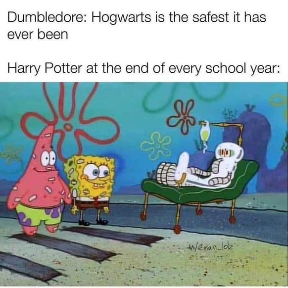 Harry Potter - The best memes about the film series